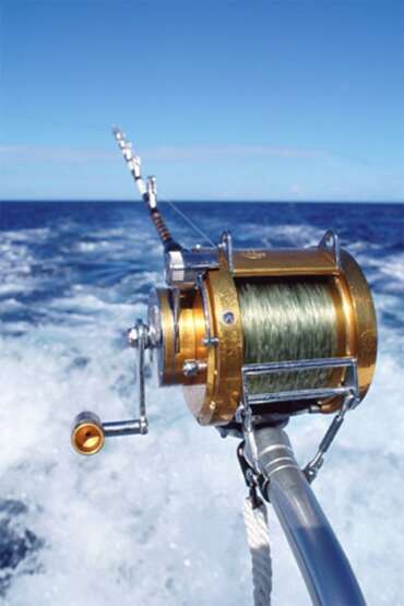 HarborWalk Fishing Charters