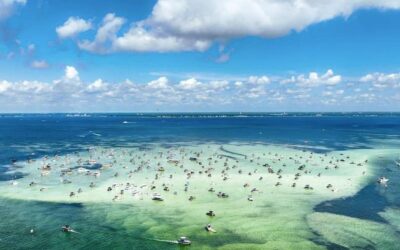 Crab Island Vendors: Secure Your 2026 Spotlight